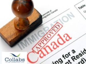apply FREE assessment for Canada permanent residency visa Collabs Immigration is Best Immigration Consultants in Delhi