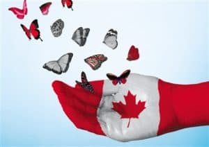 How to Apply for Canada Tourist-Visitor Visa !